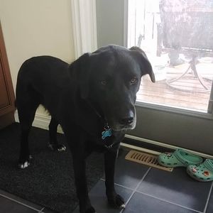 Meet your Posher, Kalena